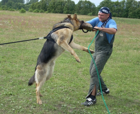 Training in Estonia 6/2007